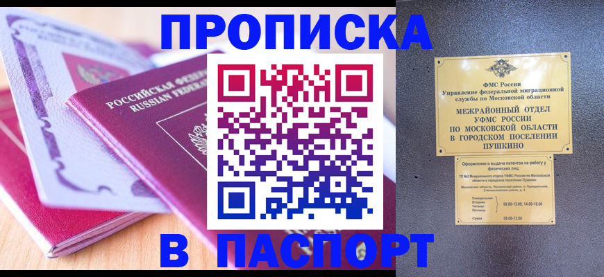 прописка законно в Ленинградской области